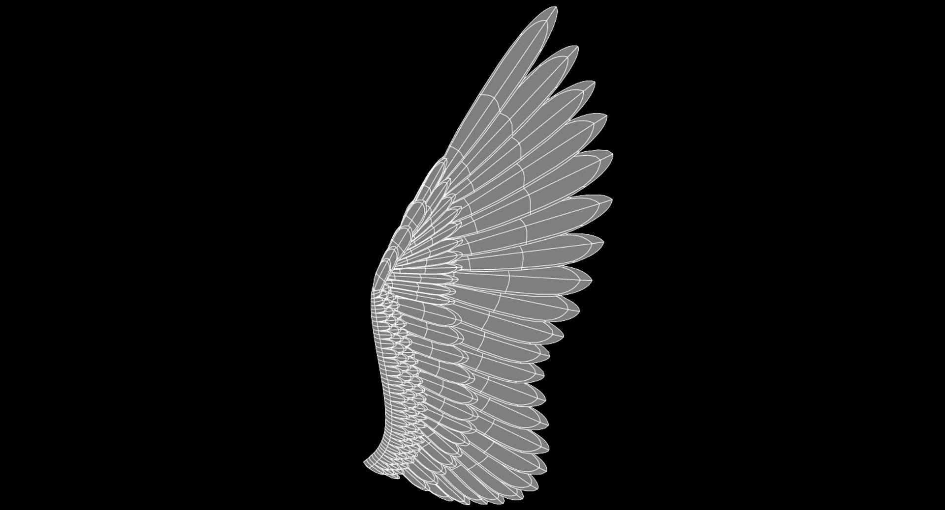 wings 3d 3ds https://p.turbosquid.com/ts-thumb/fF/6RC4bz/cGfclflH/wings_wf_tt/jpg/1541775390/1920x1080/turn_fit_q99/8a9cd1f670a225d84d045cc287c1f8c905714391/wings_wf_tt-1.jpg