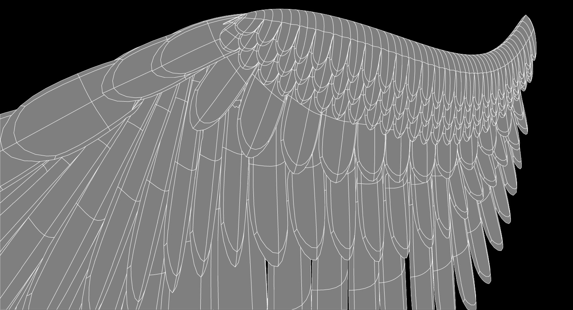 wings 3d 3ds https://p.turbosquid.com/ts-thumb/fF/6RC4bz/h58CZSSX/wings_wire2_render.41/jpg/1541776525/1920x1080/fit_q87/4bbbde3e9b1bed8786e7856cd82d9cc300384c2c/wings_wire2_render.41.jpg