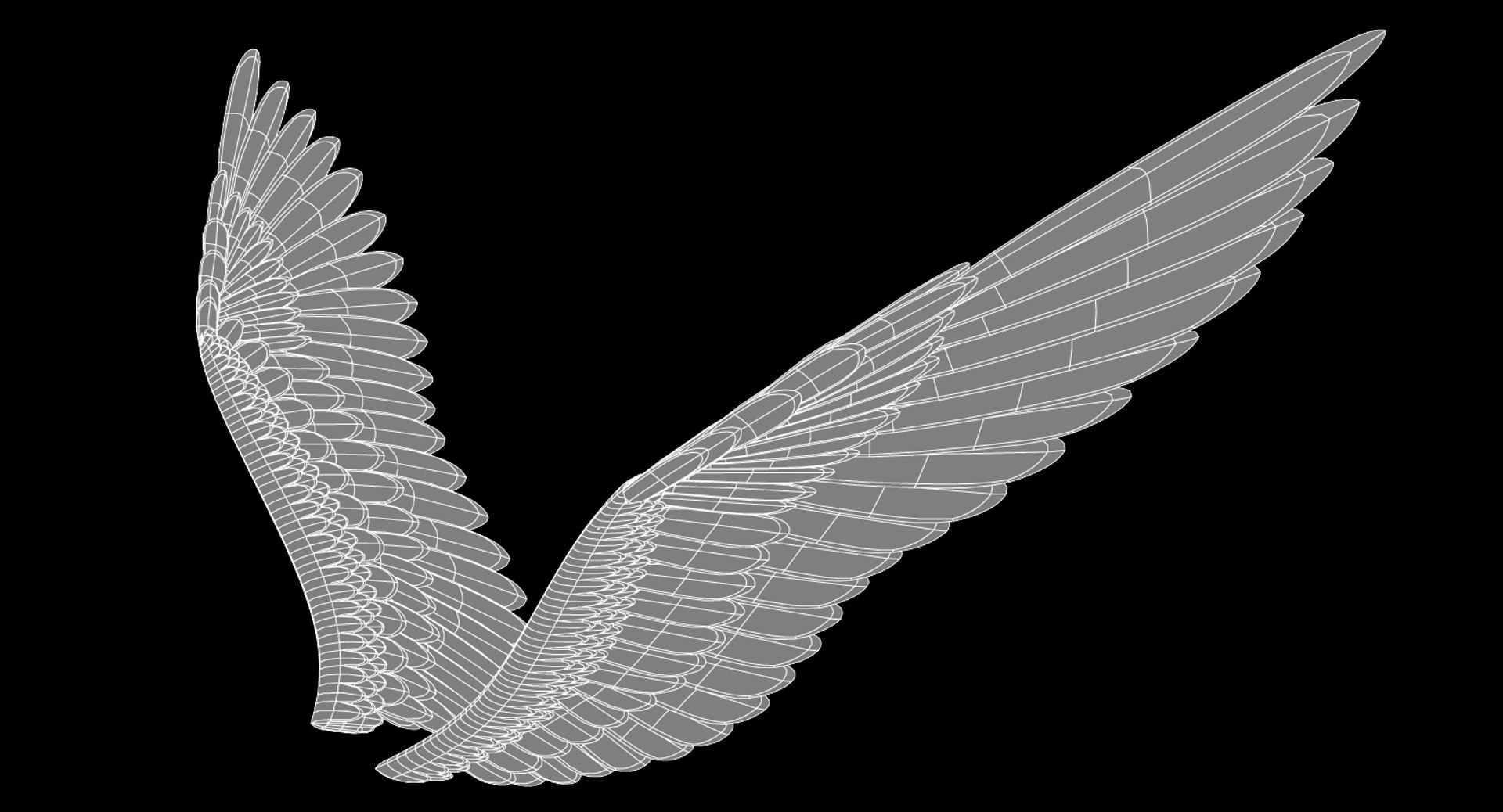 wings 3d 3ds https://p.turbosquid.com/ts-thumb/fF/6RC4bz/ie9FMu2H/wings_wire2_render.44/jpg/1541776525/1920x1080/fit_q87/03e5320ef09dac607359ee7b9684ef7380346981/wings_wire2_render.44.jpg