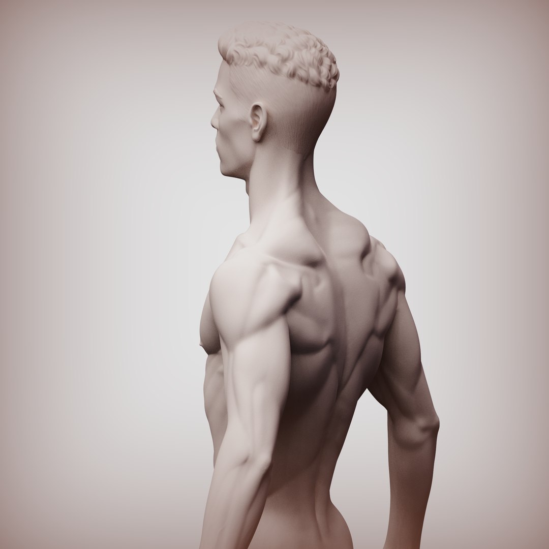 Normal Man Sculpture 3D - TurboSquid 2324870
