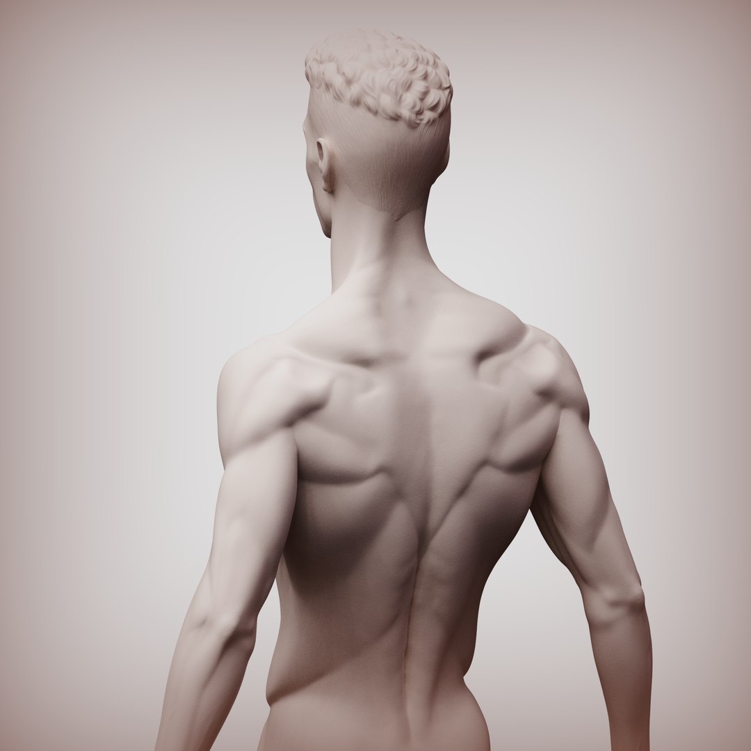 Normal Man Sculpture 3D - TurboSquid 2324870