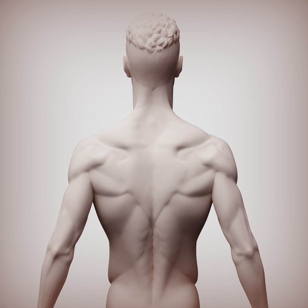 Normal Man Sculpture 3D - TurboSquid 2324870