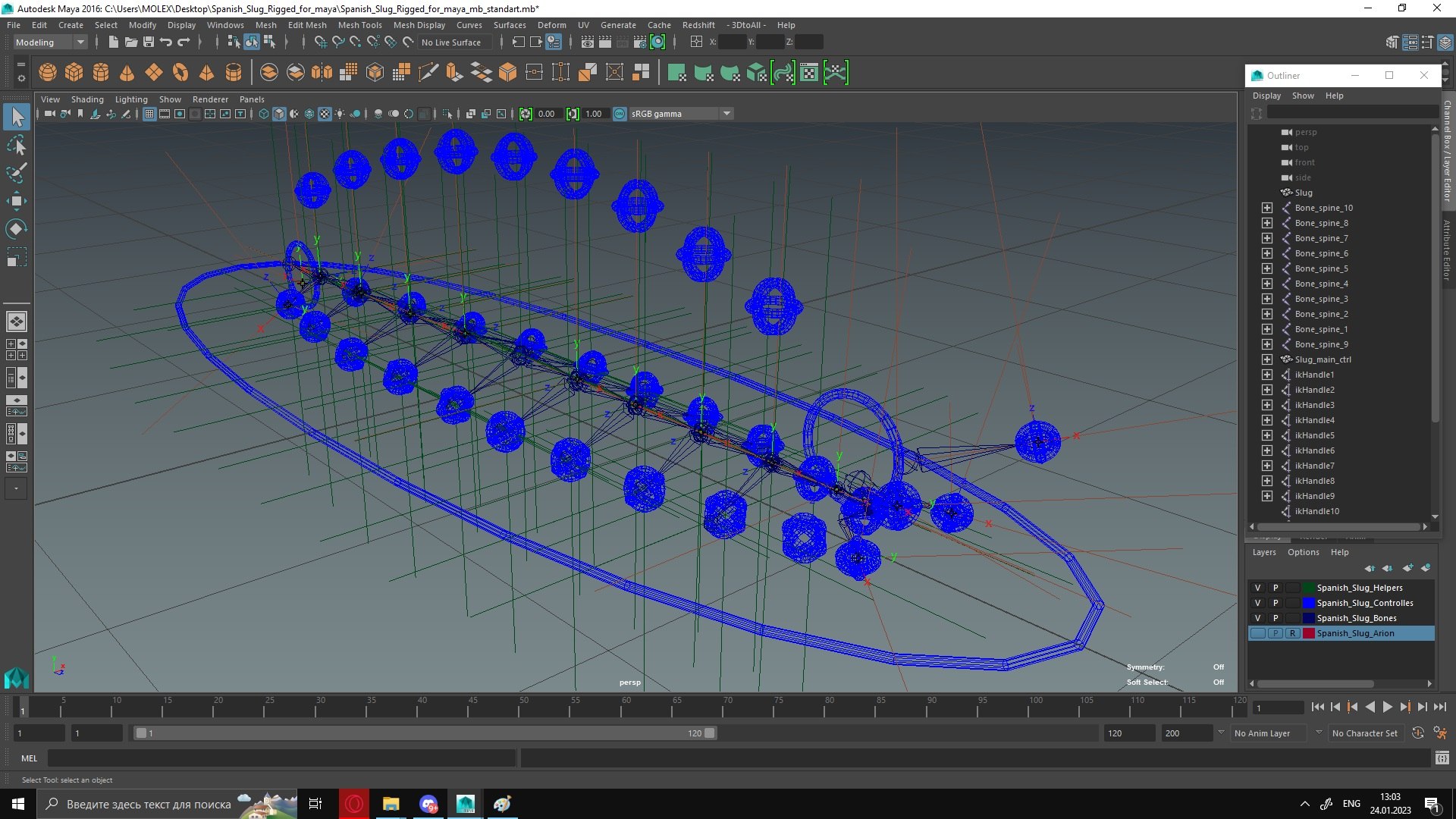 Spanish Slug Rigged for Maya 3D - TurboSquid 2018633