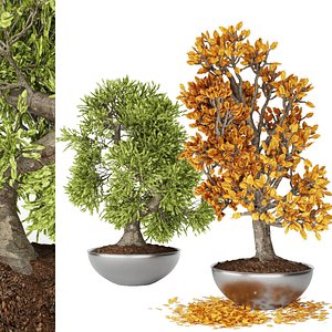 Collection  Small tree 1 3dmodel free