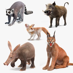 3D Rigged African Mammals Fur Collection 2 model