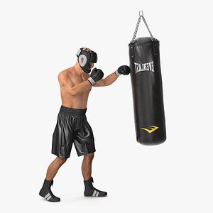 punching bag boxer rigged 3D
