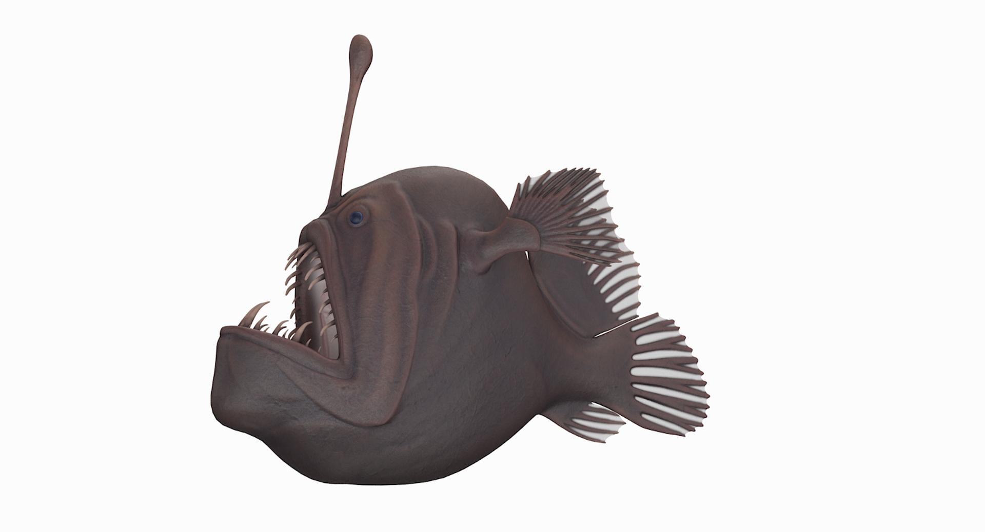 anglerfish pbr 3D model https://p.turbosquid.com/ts-thumb/fF/hOqbe7/10eaTPca/anglerfishtt/png/1558204953/1920x1080/turn_fit_q99/0805b204507a529fb0289e5c313d5a26a561daaf/anglerfishtt-1.jpg