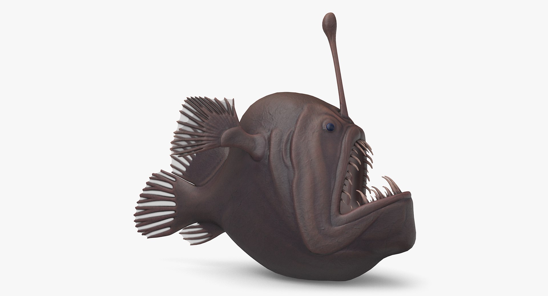 anglerfish pbr 3D model https://p.turbosquid.com/ts-thumb/fF/hOqbe7/8TSLx0Ub/anglerfish_r22/png/1558204986/1920x1080/fit_q87/155bd89d6d685097bf28d0844e4772730c71245d/anglerfish_r22.jpg