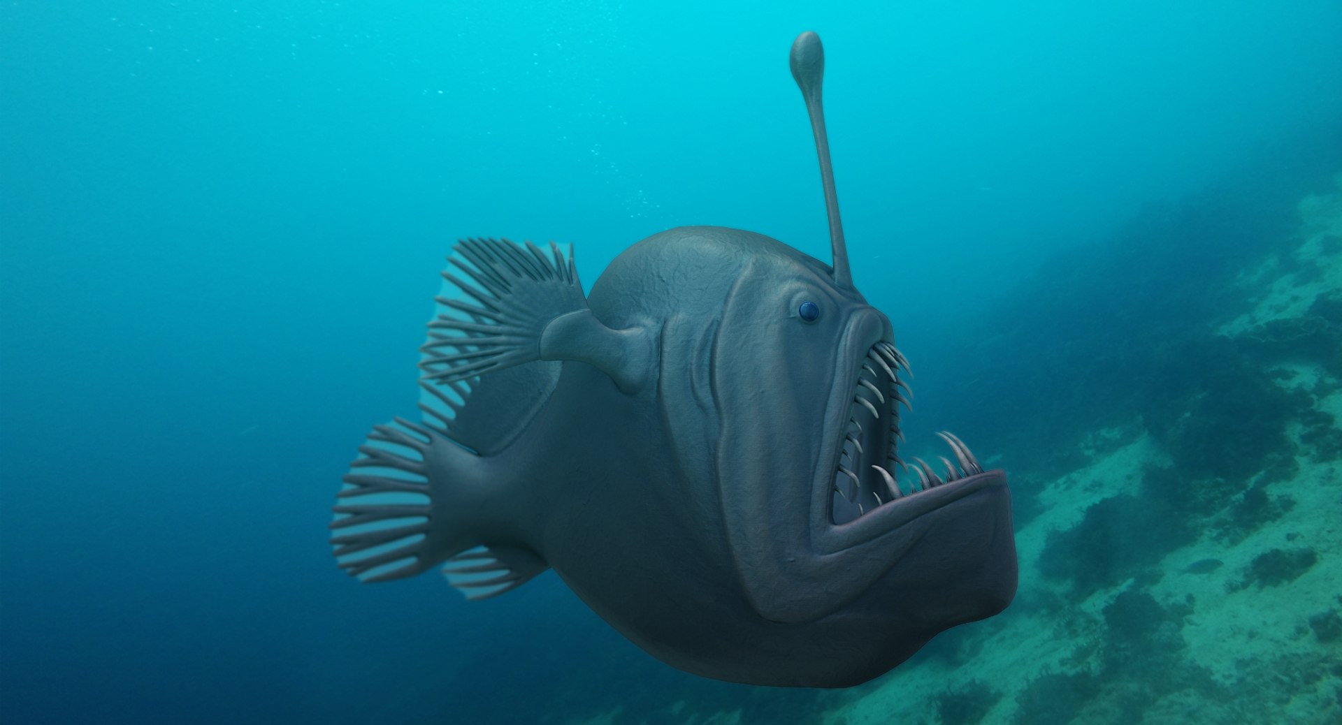anglerfish pbr 3D model https://p.turbosquid.com/ts-thumb/fF/hOqbe7/Gs14rmEE/anglerfish_r2c/png/1558204985/1920x1080/fit_q87/bbee80463a597a180a6f63bfb0686864118c6b8e/anglerfish_r2c.jpg