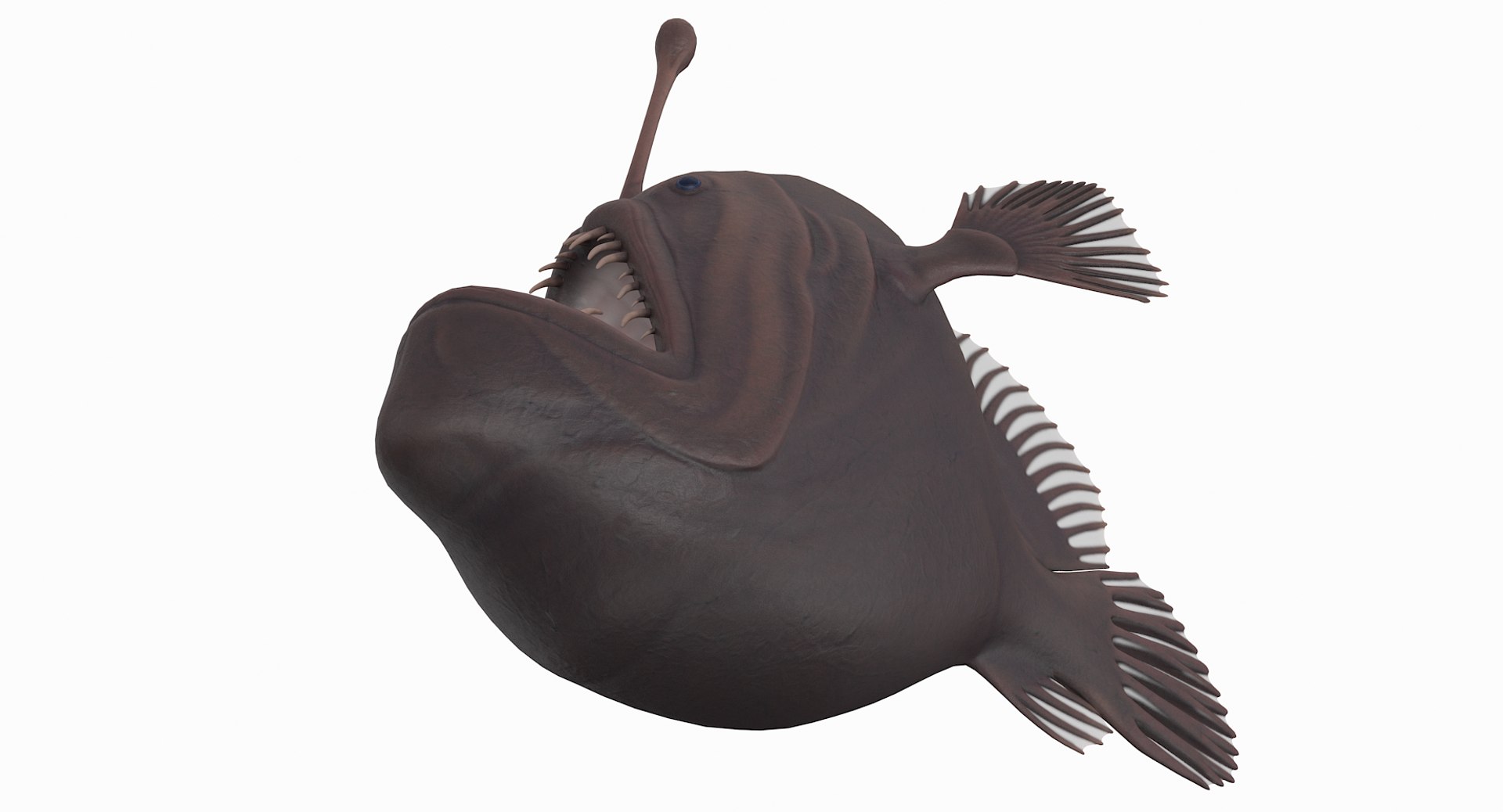 anglerfish pbr 3D model https://p.turbosquid.com/ts-thumb/fF/hOqbe7/Hm6BSdgN/anglerfish_r8/png/1558204986/1920x1080/fit_q87/7aa162b1deb5b91f92264d6e7a9367fb5ddaba0b/anglerfish_r8.jpg