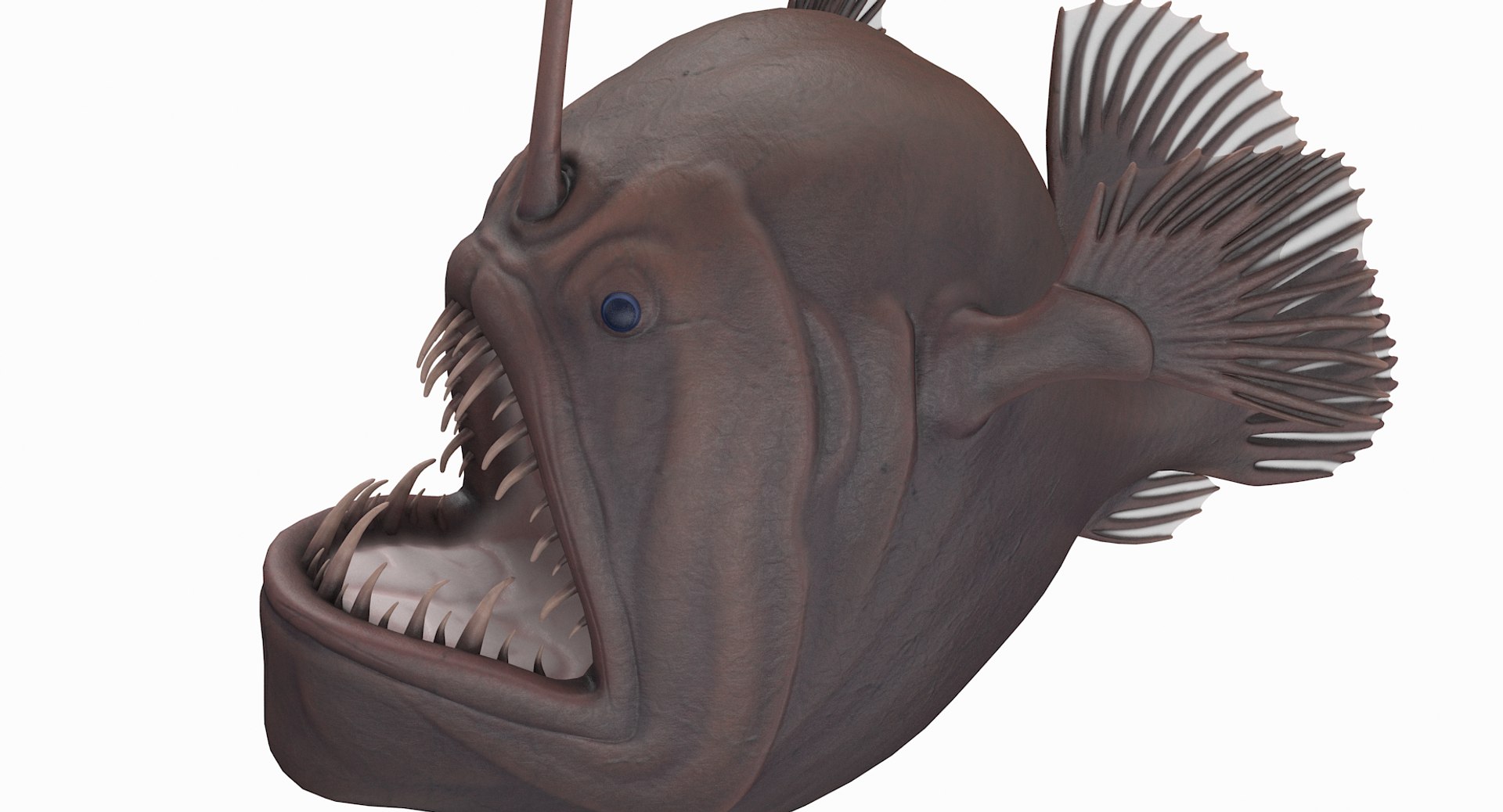 anglerfish pbr 3D model https://p.turbosquid.com/ts-thumb/fF/hOqbe7/QnJff7Nh/anglerfish_r7/png/1558204985/1920x1080/fit_q87/a23b05ee6deb9b29a78d63e009cffdaf74d58552/anglerfish_r7.jpg