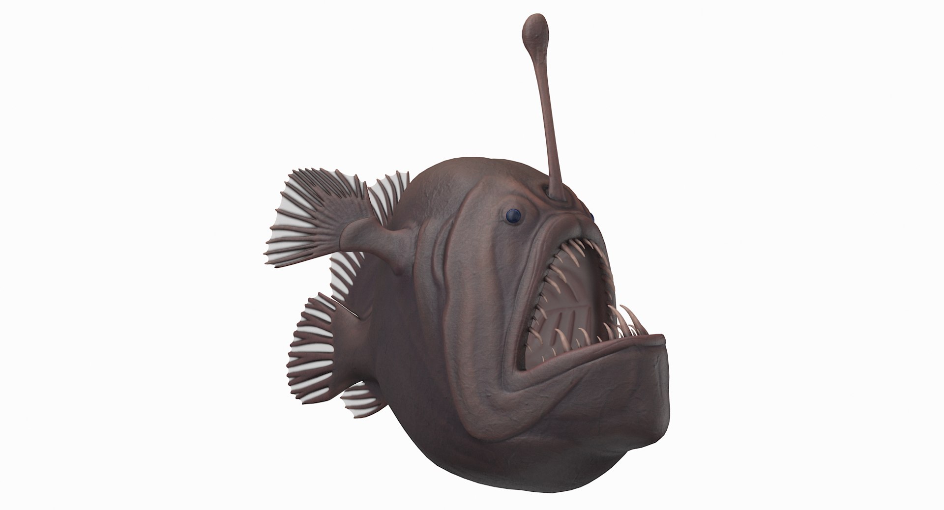 anglerfish pbr 3D model https://p.turbosquid.com/ts-thumb/fF/hOqbe7/U5DAFlu4/anglerfish_r6/png/1558204985/1920x1080/fit_q87/3df761587edffb7fcfb7f60dc85a037faf693f37/anglerfish_r6.jpg