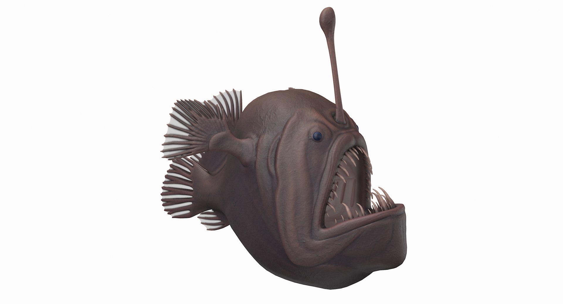 anglerfish pbr 3D model https://p.turbosquid.com/ts-thumb/fF/hOqbe7/aoNkUNik/anglerfish_r1/png/1558204985/1920x1080/fit_q87/fc8934f4121ae9d32498487eba113074ab8e955b/anglerfish_r1.jpg