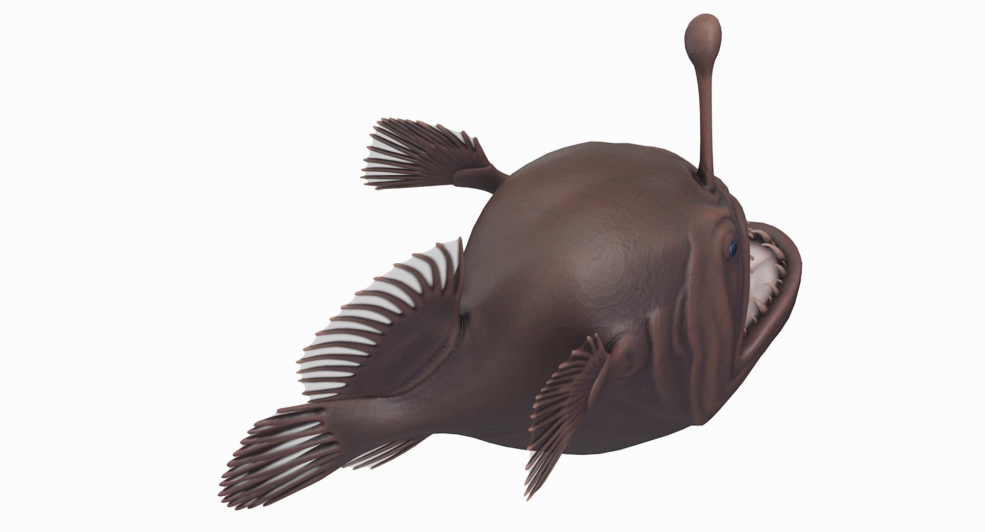 anglerfish pbr 3D model https://p.turbosquid.com/ts-thumb/fF/hOqbe7/eRffEmo2/anglerfish_r5/png/1558204985/1920x1080/fit_q87/26d97c1d515ea9d1e30807e83818a1601aa43db5/anglerfish_r5.jpg