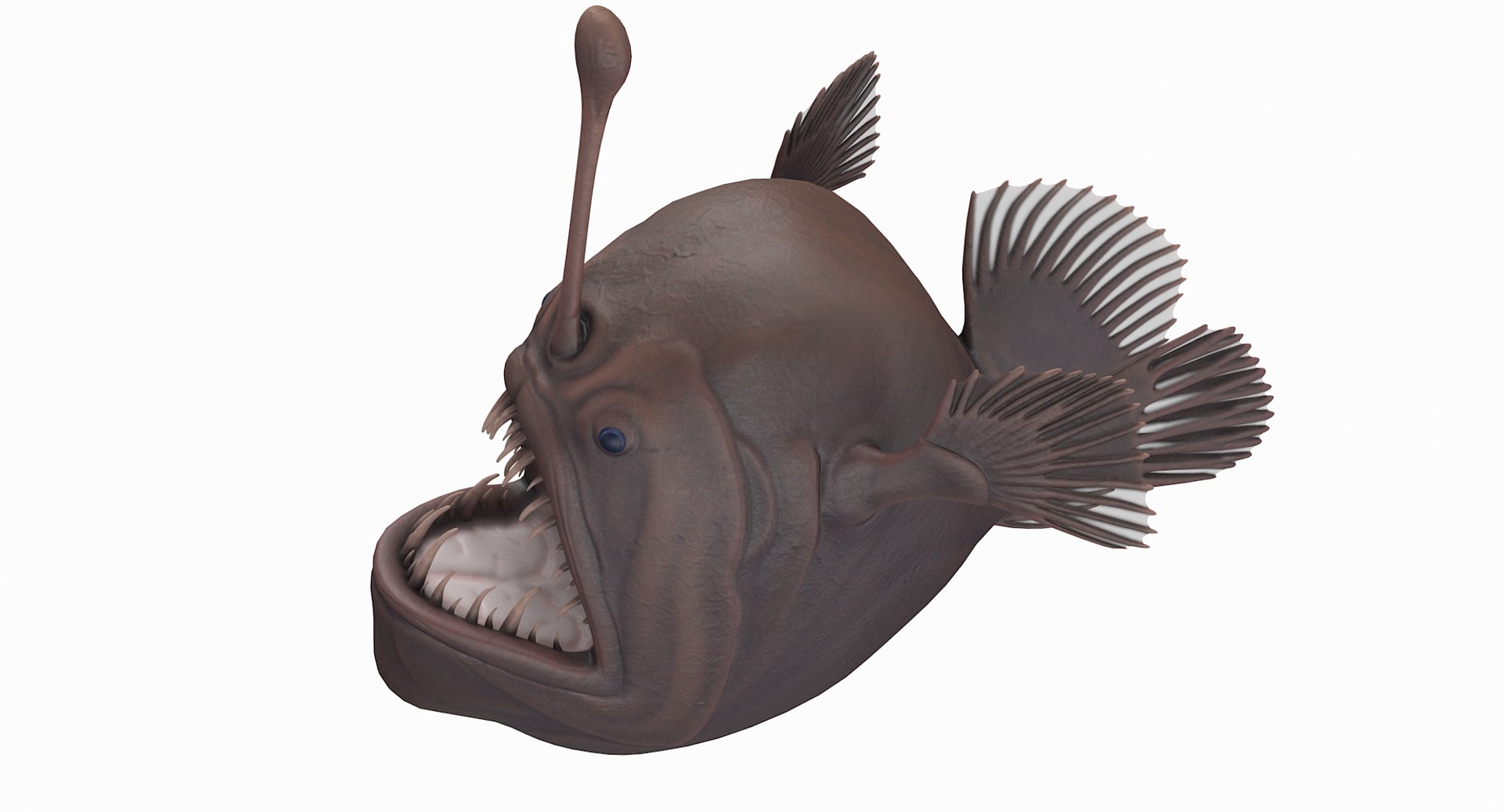 anglerfish pbr 3D model https://p.turbosquid.com/ts-thumb/fF/hOqbe7/idDMJFfG/anglerfish_r4/png/1558204985/1920x1080/fit_q87/8e56e226513a574d1b889cc3abd673464e3db38b/anglerfish_r4.jpg