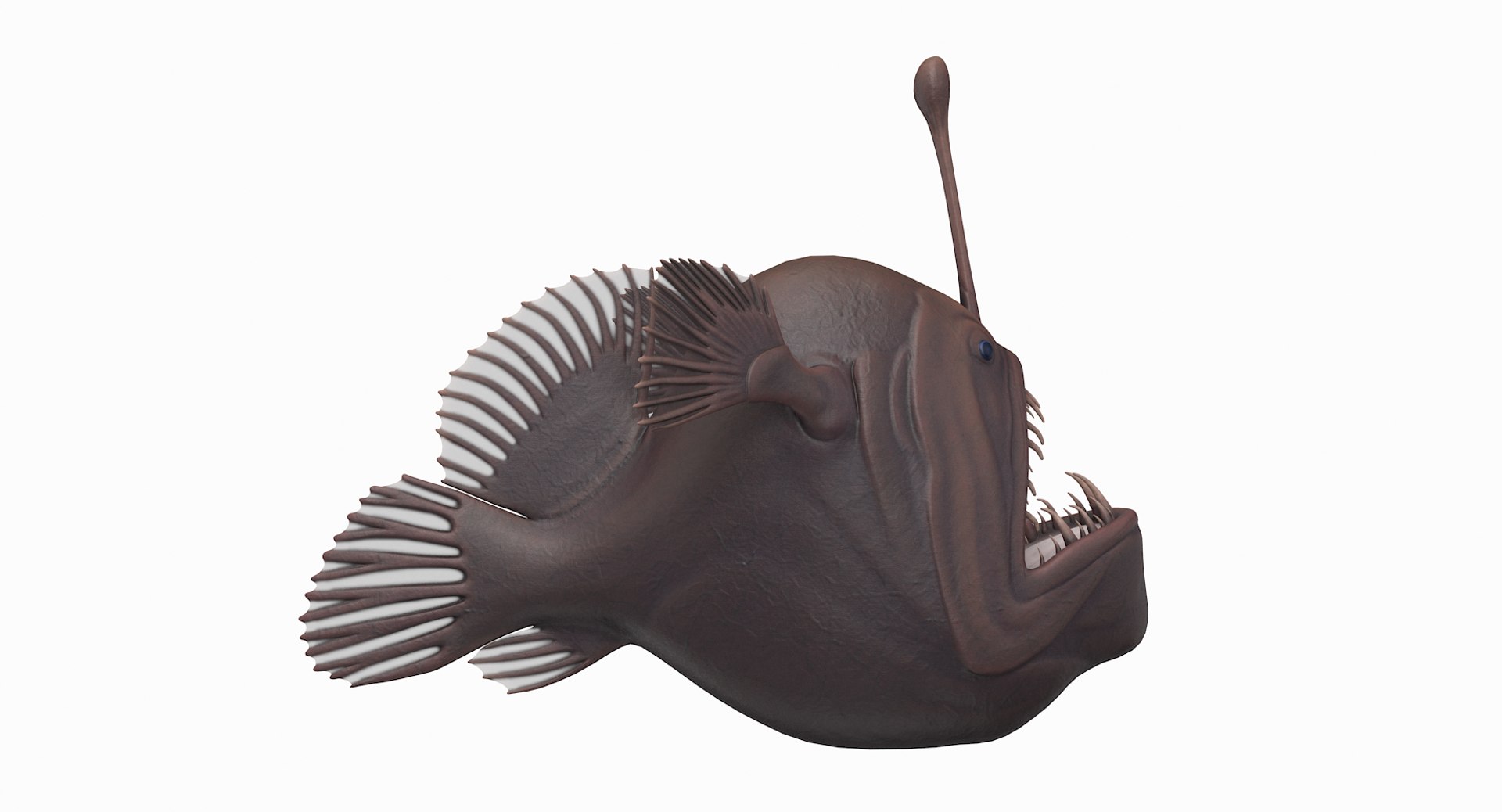 anglerfish pbr 3D model https://p.turbosquid.com/ts-thumb/fF/hOqbe7/q5DTXKdb/anglerfish_r3/png/1558204985/1920x1080/fit_q87/12b09730add04a954744a582b94983850d0e2ed0/anglerfish_r3.jpg