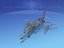 McDonnell Douglas F-4J Phantom II V00 BM