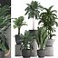 Collection Exotic plants 405