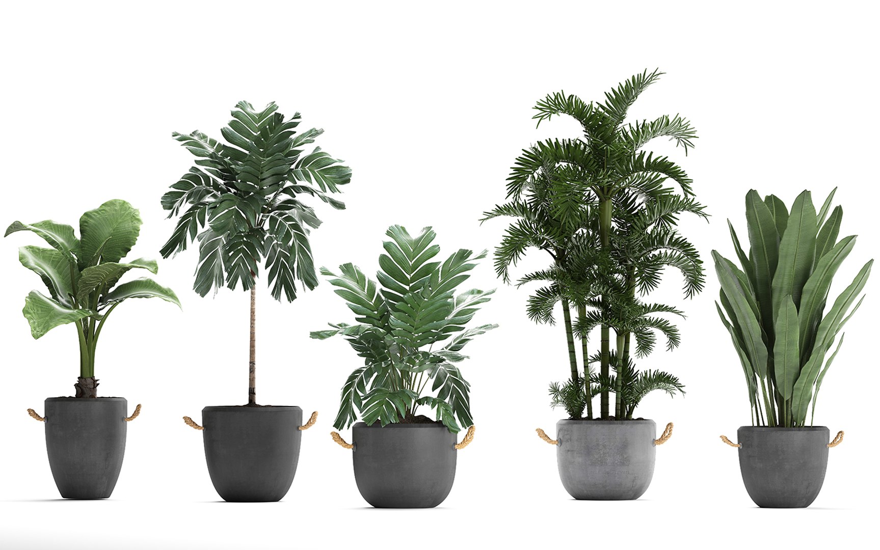 exotic plants 3D https://p.turbosquid.com/ts-thumb/fF/ie1hc6/K2ufNZgK/plantsset1211201905/jpg/1573657579/1920x1080/fit_q87/2dea94deb93343c98104a0aa07df6fef438fb930/plantsset1211201905.jpg