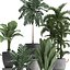 Collection Exotic plants 405