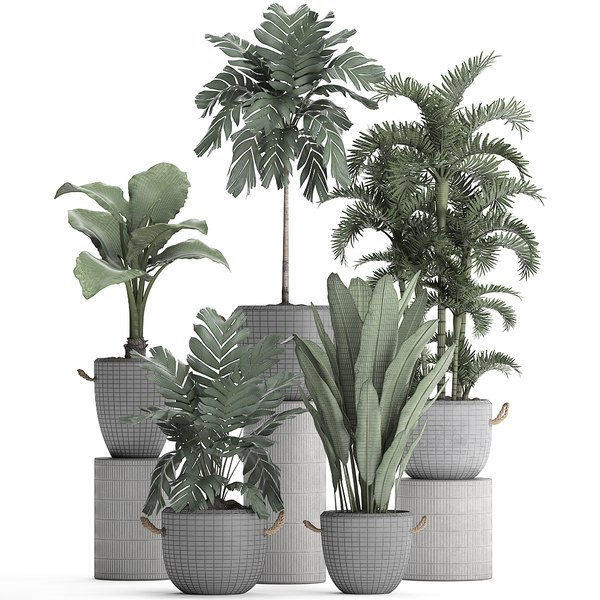 Exotic plants 3D - TurboSquid 1471077