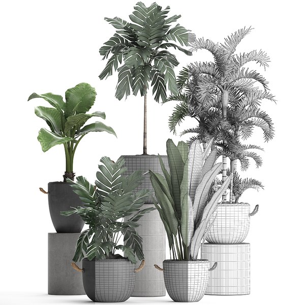 Exotic plants 3D - TurboSquid 1471077