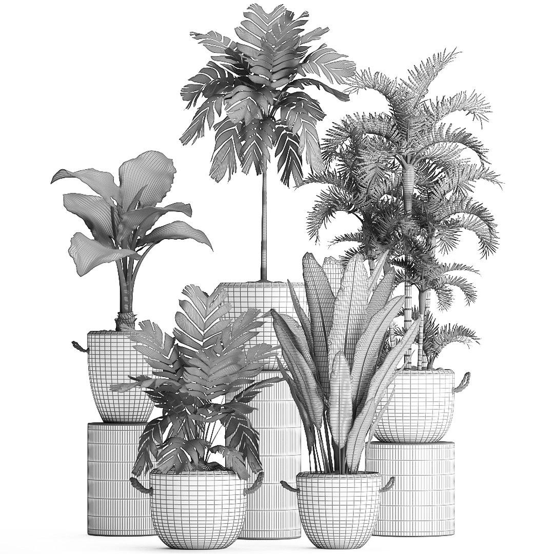 exotic plants 3D https://p.turbosquid.com/ts-thumb/fF/ie1hc6/xaUg37BA/plantsset1211201909/jpg/1573657579/1920x1080/fit_q87/c5534853c08fac3936be463bf9afacbe586c9f43/plantsset1211201909.jpg
