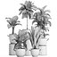 Collection Exotic plants 405