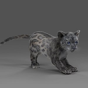 3D Fur Baby Snow Leopard Rigged and Animated in Blender
