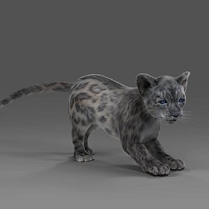Fur Baby Snow Leopard Rigged and Animated in Blender