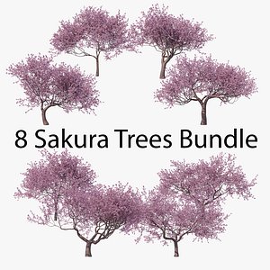 Sakura High Poly 01-08 Bundle