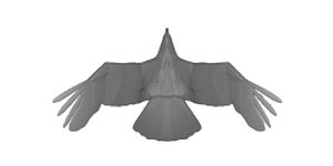 3d model eagle animation
