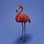 3D model flamingo bird animal