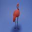 3D model flamingo bird animal