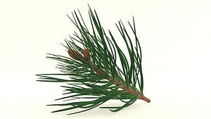 3D model Cedar pine branch