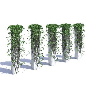 Ivy on a column V3 3D model