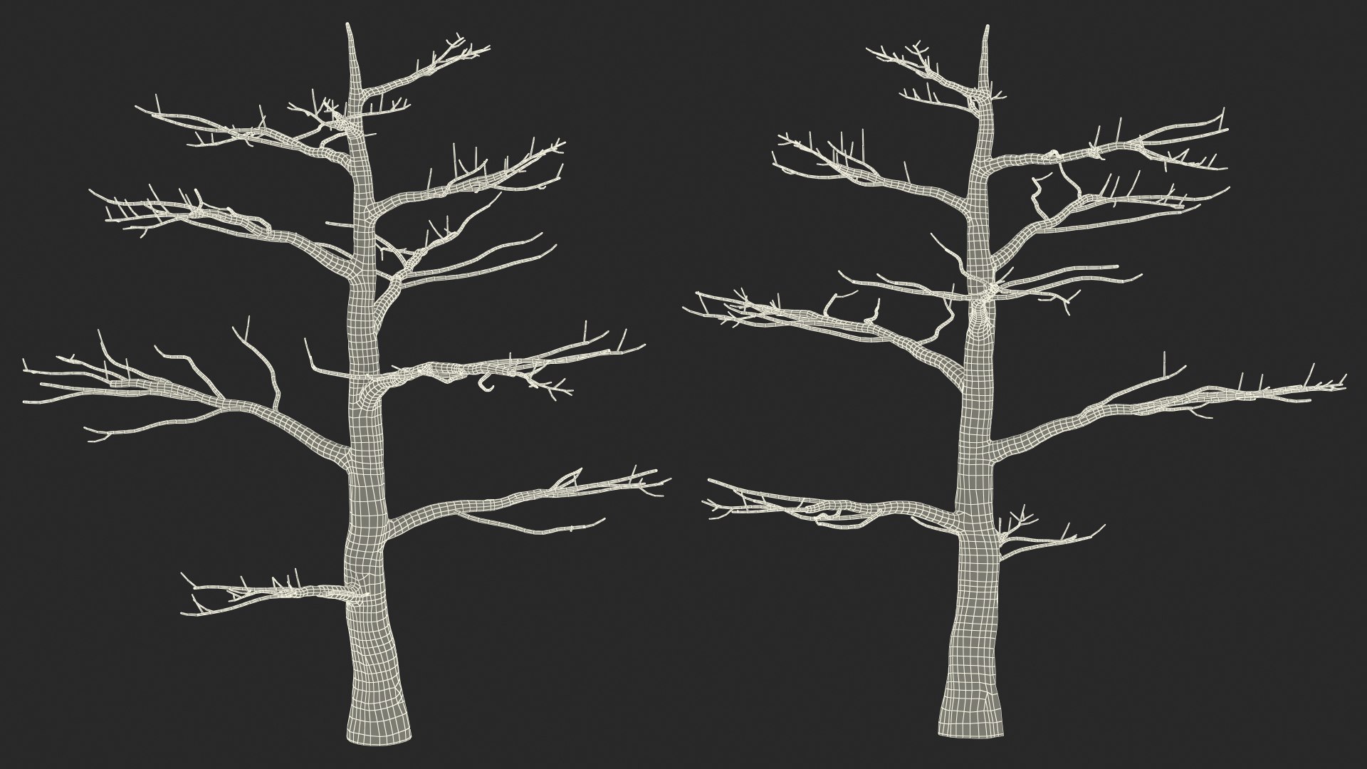 Podocarpus Trunk 3D model https://p.turbosquid.com/ts-thumb/fG/YrT7XC/G3/podocarpustrunkc4dmodel023/jpg/1632164060/1920x1080/fit_q87/0380cd5ad276808512be9dabf9a77fd22c05bca9/podocarpustrunkc4dmodel023.jpg