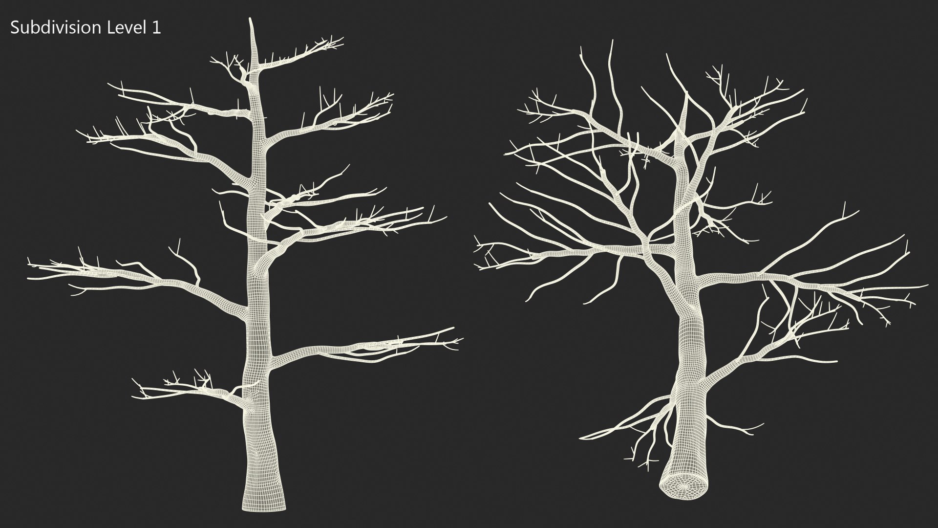 Podocarpus Trunk 3D model https://p.turbosquid.com/ts-thumb/fG/YrT7XC/J2/podocarpustrunkc4dmodel015/jpg/1632164036/1920x1080/fit_q87/13af98972145ae3d8ab1a6fadabc82f261661470/podocarpustrunkc4dmodel015.jpg