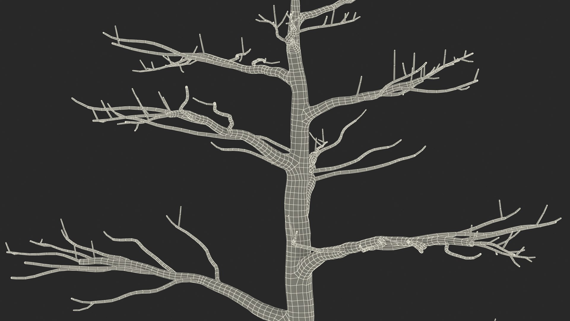 Podocarpus Trunk 3D model https://p.turbosquid.com/ts-thumb/fG/YrT7XC/ai/podocarpustrunkc4dmodel025/jpg/1632164066/1920x1080/fit_q87/e91370fb681f8020973e8976b4316033359bcdc0/podocarpustrunkc4dmodel025.jpg