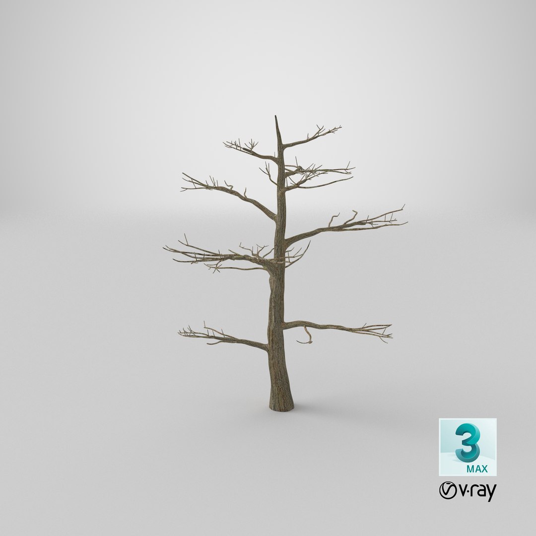 Podocarpus Trunk 3D model https://p.turbosquid.com/ts-thumb/fG/YrT7XC/j9/stemcell_max_vray_render/png/1644307222/1920x1080/fit_q87/1cfc777022f1a3fba4e6bdf6aa240fbb4c2bb984/stemcell_max_vray_render.jpg