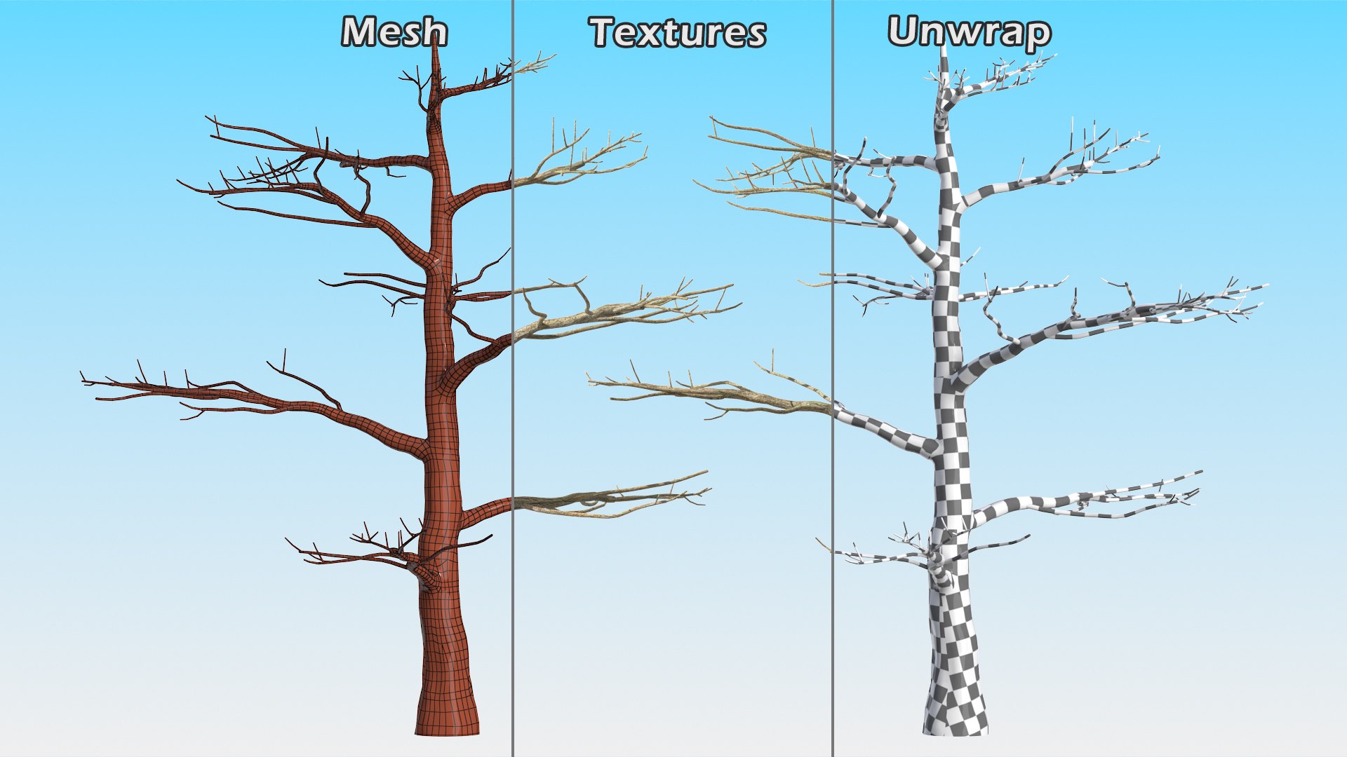 Podocarpus Trunk 3D model https://p.turbosquid.com/ts-thumb/fG/YrT7XC/sG/podocarpustrunkc4dmodel013/jpg/1632164030/1920x1080/fit_q87/83efc3cb2f35375b634ec17fae352621746f85af/podocarpustrunkc4dmodel013.jpg