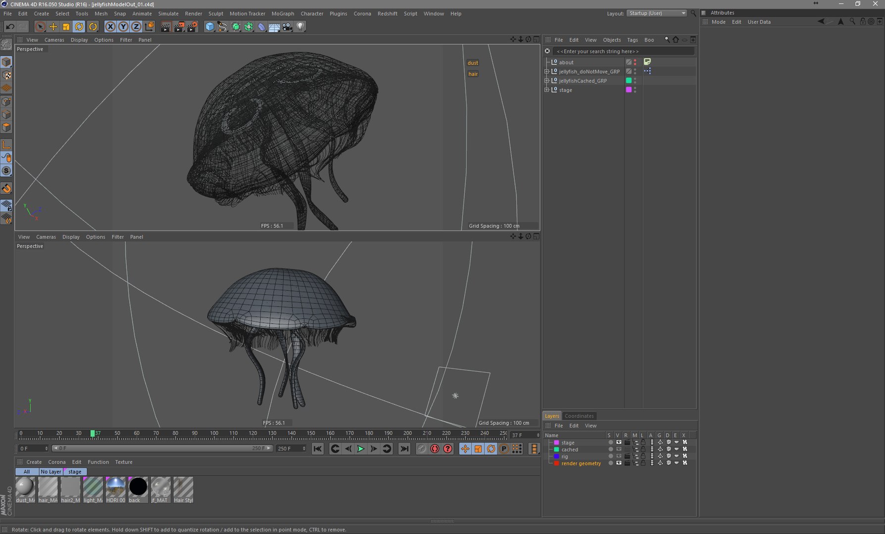 Aurelia Jellyfish Jelly Animate 3D Model - TurboSquid 1280339