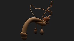 3D male reproductive organ