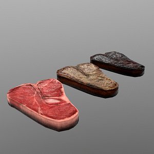 t-bone steak model