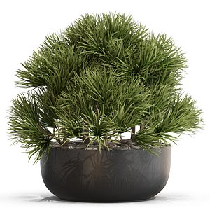 Plants collection 679 model