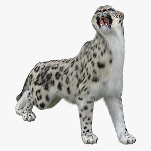 3D Snow Leopard Rigged with Fur model