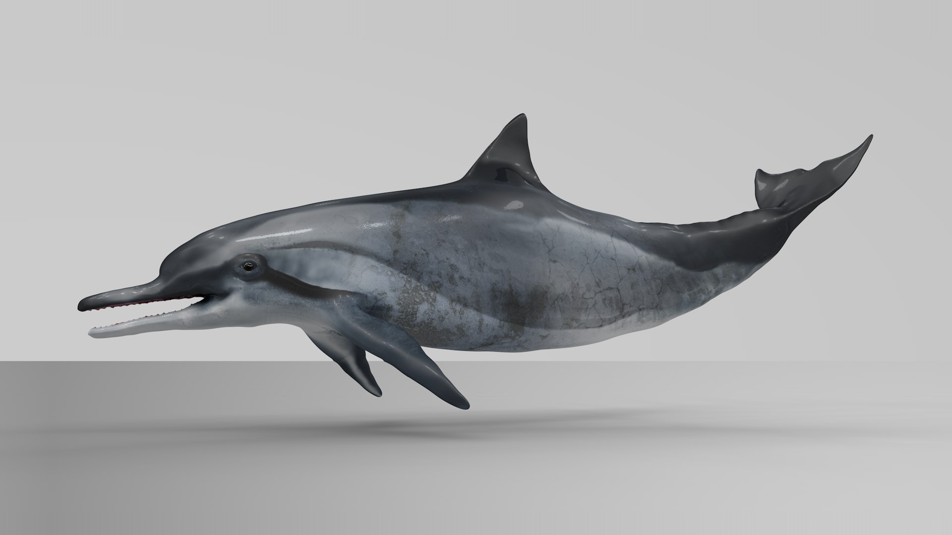 3D dolphin l936 https://p.turbosquid.com/ts-thumb/fG/ug3zGp/3MozrGQr/08/png/1600225360/1920x1080/fit_q87/332eaf4947eb897d6b8ed29ab720fed760900e41/08.jpg