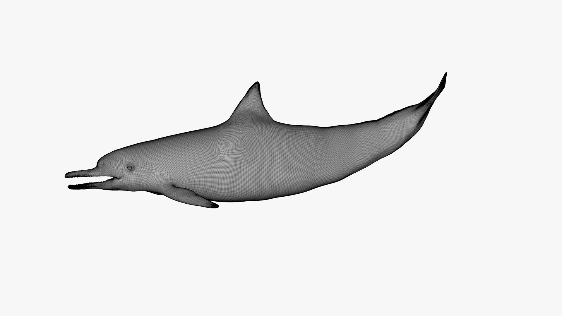 3D dolphin l936 https://p.turbosquid.com/ts-thumb/fG/ug3zGp/BDBS2KFq/34/png/1600225476/1920x1080/fit_q87/6e9c89b6520b98f5acd1c07305a112e9a285fe87/34.jpg