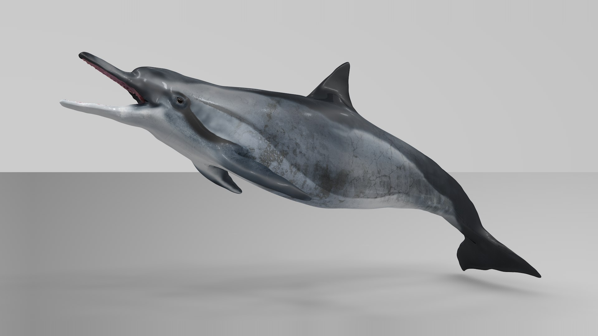 3D dolphin l936 https://p.turbosquid.com/ts-thumb/fG/ug3zGp/KknJaRBq/13/png/1600225369/1920x1080/fit_q87/105f1253c0d2cdda776ad862a0fb317002d457d9/13.jpg