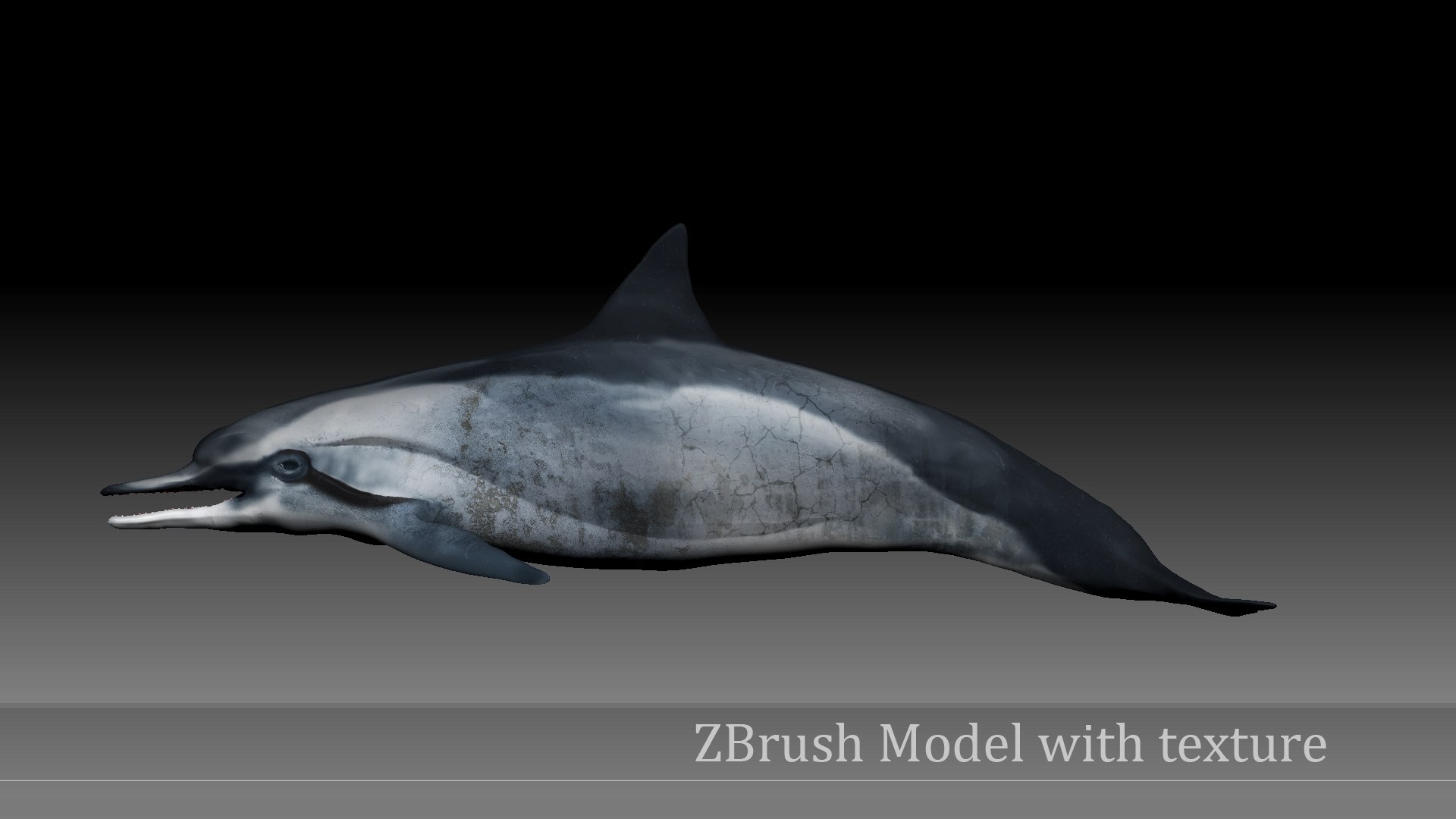 3D dolphin l936 https://p.turbosquid.com/ts-thumb/fG/ug3zGp/S0XRuCJJ/56/png/1600225377/1920x1080/fit_q87/65f38dfefb0a96f3c444c0da70a43f65a084bfb0/56.jpg